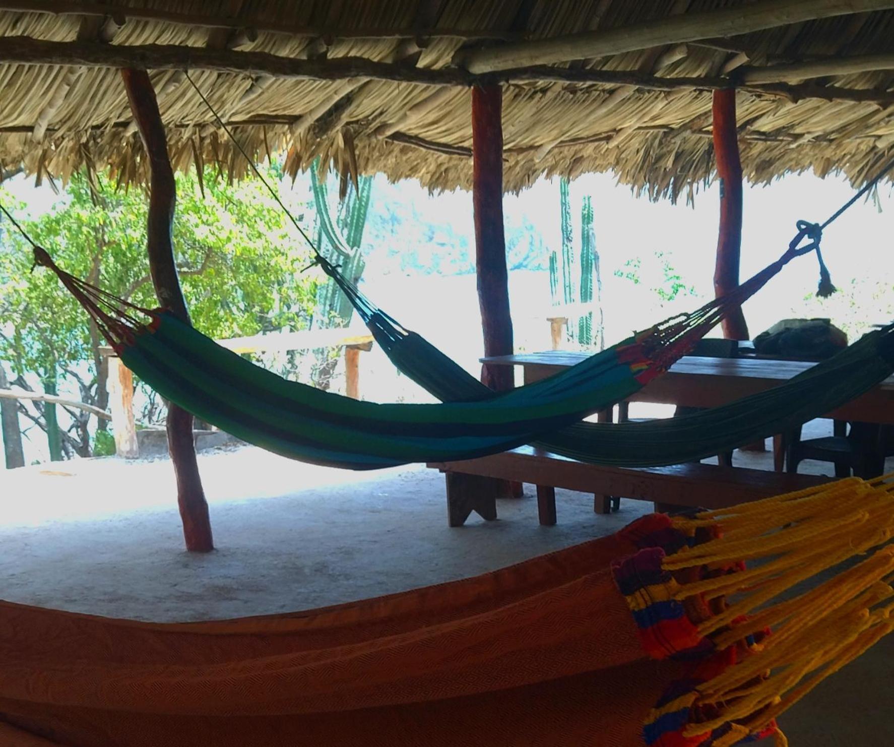ホテル Mirador Playa Cristal Tayrona Nenguange エクステリア 写真