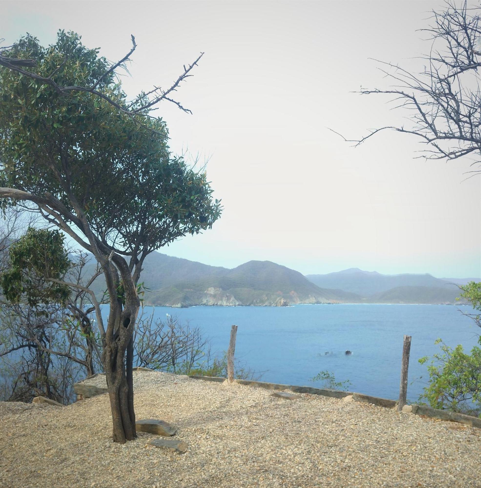 ホテル Mirador Playa Cristal Tayrona Nenguange エクステリア 写真