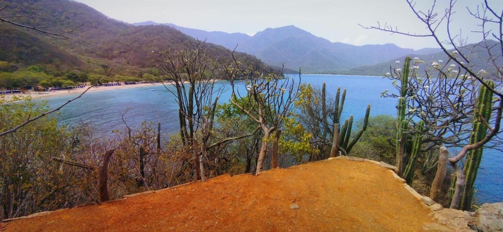 ホテル Mirador Playa Cristal Tayrona Nenguange エクステリア 写真