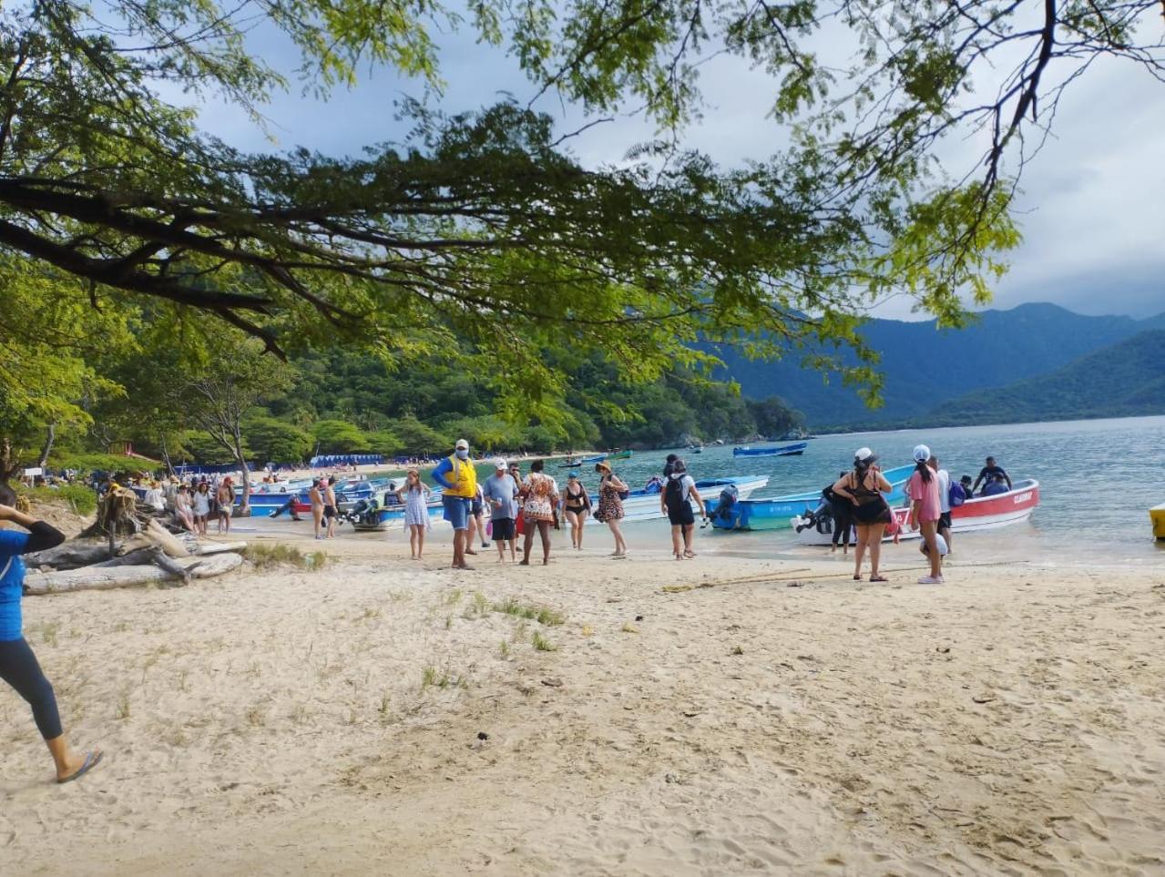 ホテル Mirador Playa Cristal Tayrona Nenguange エクステリア 写真