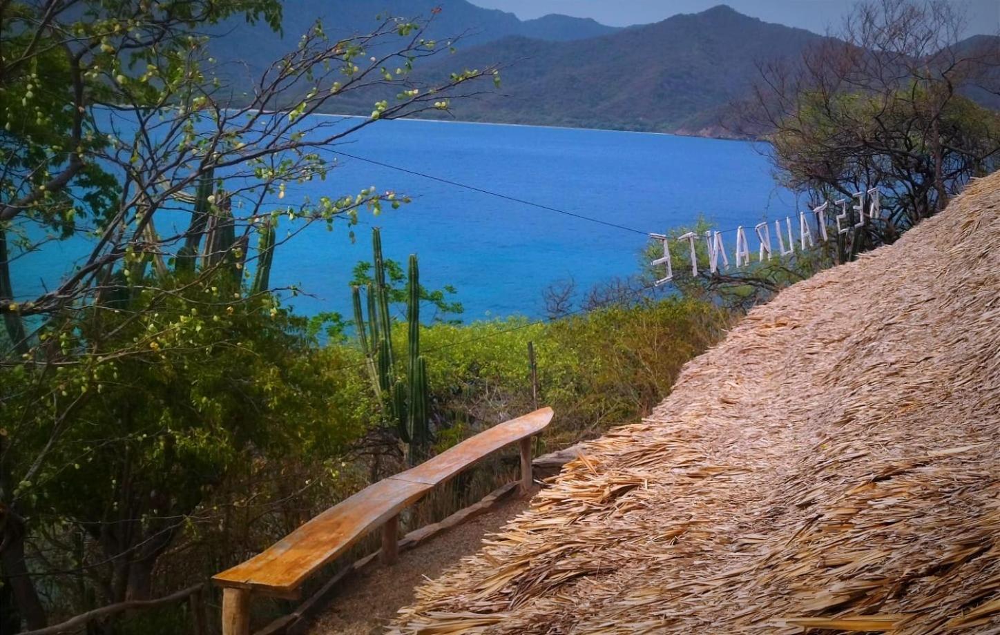 ホテル Mirador Playa Cristal Tayrona Nenguange エクステリア 写真