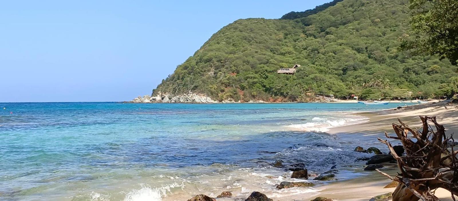 ホテル Mirador Playa Cristal Tayrona Nenguange エクステリア 写真